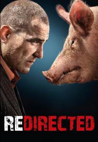 Redirected (2014)