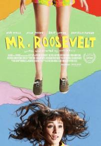 Mr. Roosevelt (2017)