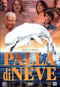 Palla di neve (1995)