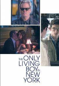 The Only Living Boy in New York (2017)