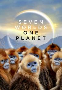 Seven Worlds, One Planet (2019)