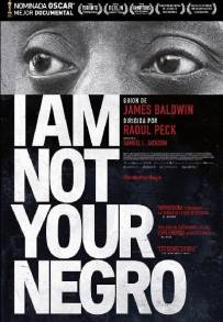 I Am Not Your Negro (2017)