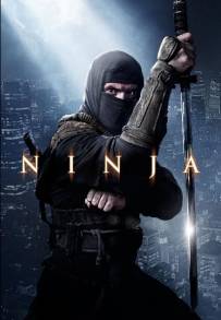 Ninja: Shadow of a Tear (2013)