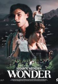 Shawn Mendes: In Wonder (2020)