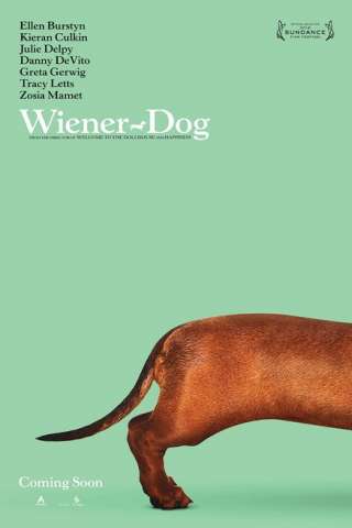 Wiener-Dog [HD] (2016)