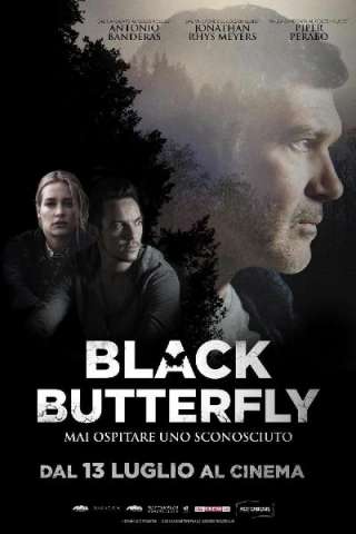 Black Butterfly [HD] (2017)