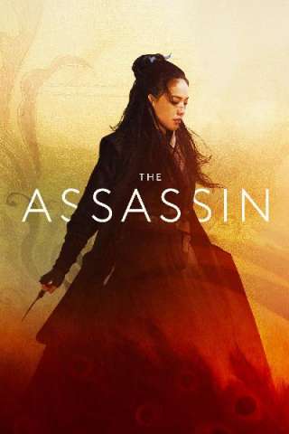 The Assassin [HD] (2015)