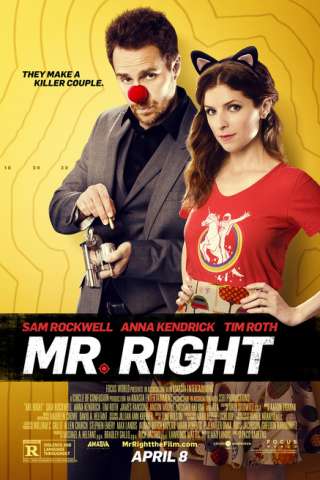 Mr. Right [HD] (2015)