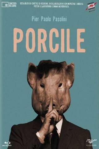 Porcile [HD] (1969)
