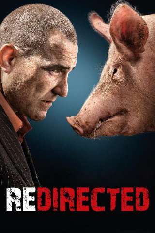 Redirected [HD] (2014)