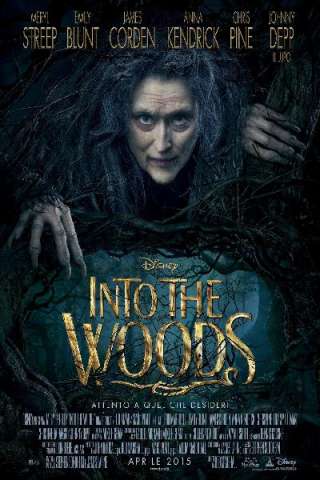 Into the Woods [HD] (2014)