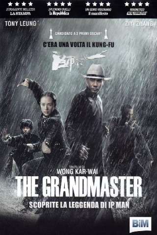 The Grandmaster [HD] (2013)