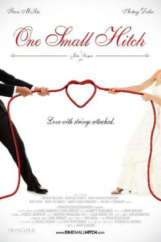 Amore per finta [HD] (2013)