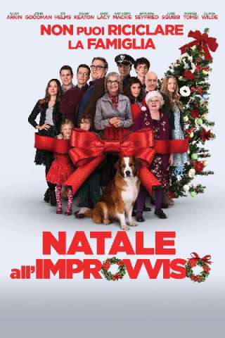 Natale all'improvviso [HD] (2015)