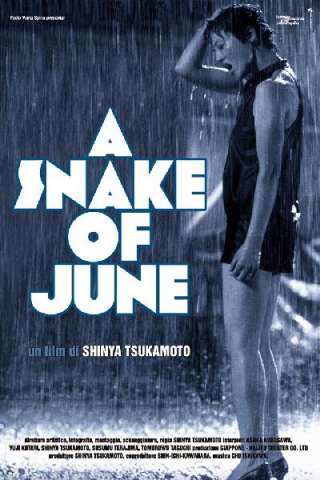 A Snake of June - Un serpente di giugno [HD] (2002)