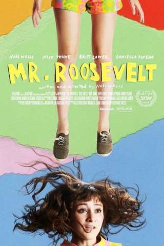 Mr. Roosevelt [HD] (2017)