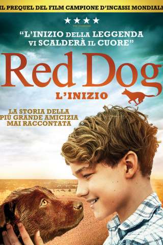 Red Dog: L'inizio [HD] (2016)