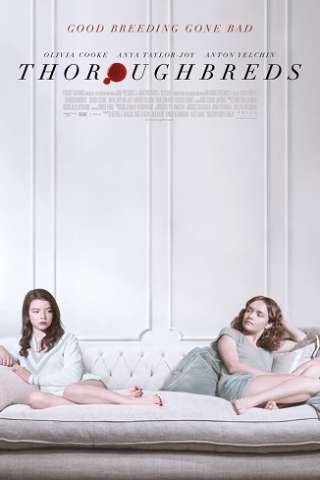 Amiche di sangue [HD] (2018)