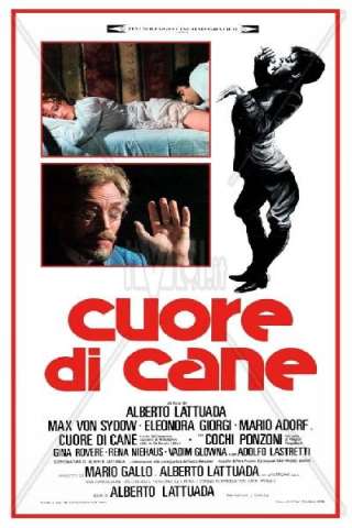 Cuore di cane [HD] (1976)