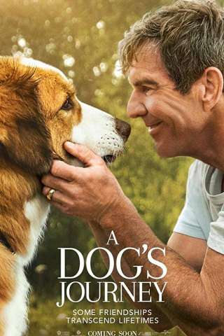 A Dog's Journey [HD] (2019)