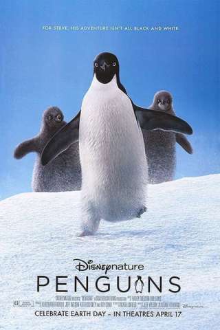 Penguins [HD] (2019)