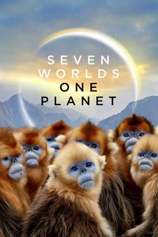 Seven Worlds, One Planet [HD] (2019)