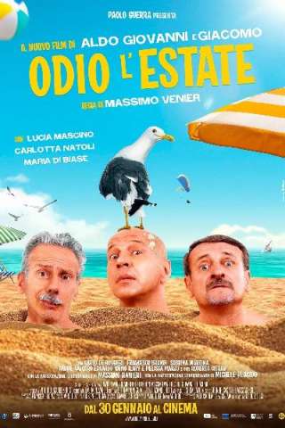 Odio l'estate [HDTS.LD] (2020)