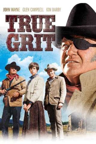 Il Grinta [HD] (1969)