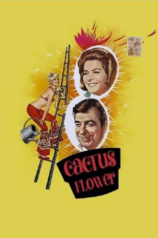 Fiore di cactus [HD] (1969)