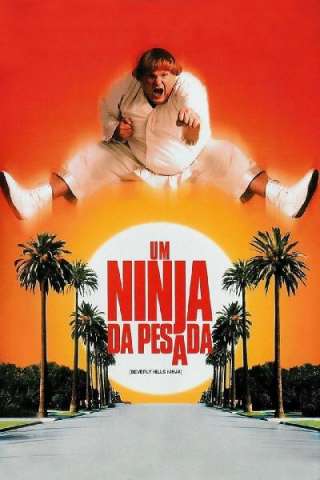 Mai dire ninja [DVDrip] (1997)