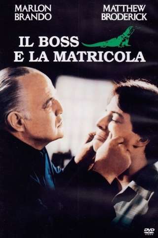 Il boss e la matricola [DVDrip] (1990)