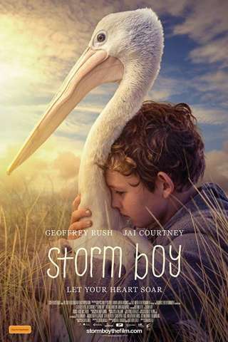 Storm Boy - Il ragazzo che sapeva volare [HD] (2019)