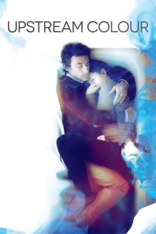 Upstream Color [DVDrip] (2013)