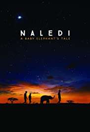 Naledi: A Baby Elephant' s Tale [HD] (2016)