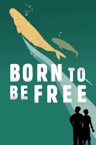 Born to Be Free [HD] (2017)