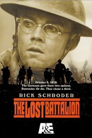 Il battaglione perduto [DVDrip] (2001)