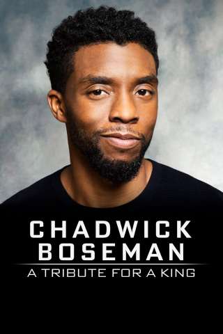 Chadwick Boseman:  A Tribute for a King [DVDrip] (2020)