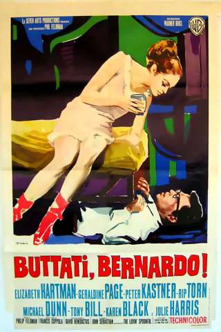 Buttati, Bernardo! [DVDrip] (1966)