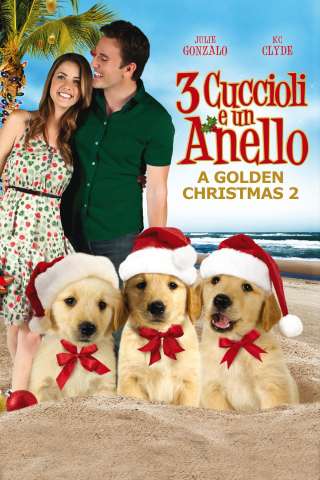 Tre cuccioli e un anello [HD] (2011)