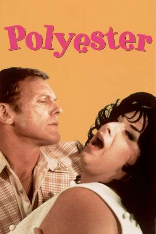 Polyester [HD] (1981)