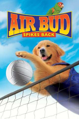 Air Bud 5 - Un amico dal tocco magico [HD] (2003)