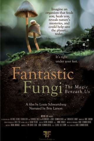 Funghi fantastici [HD] (2019)