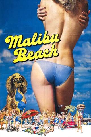 I ragazzi della spiaggia di Malibu [HD] (1978)