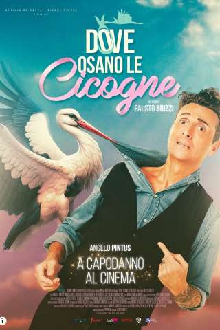 Dove osano le cicogne [HD] (2025)